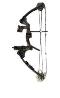 PEARSON ARCHERY APEX