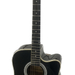 Esteban ALC-200 6-string Acoustic Electric Guitar Black