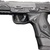 Ruger american