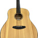 Breedlove Discovery Dreadnaught w/ Soft Case