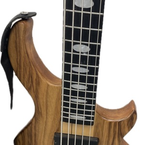 GSTYLE 5 STRING