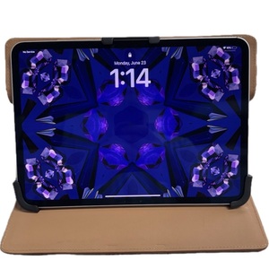Apple  iPad Pro 11-Inch (M4) in Brown Leather Case