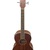 IBANEZ PNB14E-OPN  "F" ACOUSTIC-ELECTRIC BASS 4-STRING