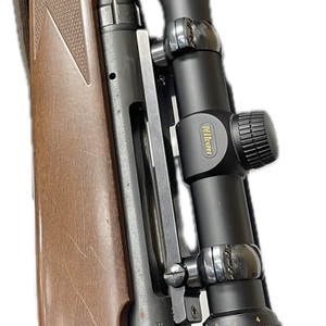 Savage Arms 110