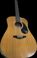 palmer  p41ne