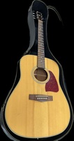 IBANEZ AW13-NT