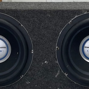 gothic set of 10in subwoofers in box