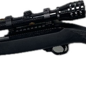 STURM , RUGER &CO., INC. MODEL 10/22 CARBINE 
