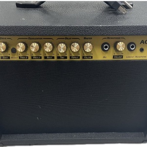 LYX AGL-40 Guitar Amp