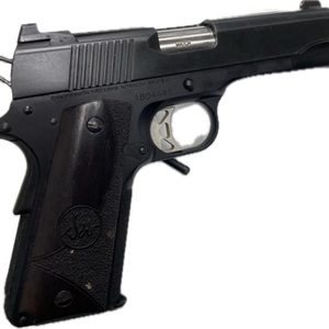 Dan Wesson VIGIL