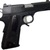Dan Wesson VIGIL