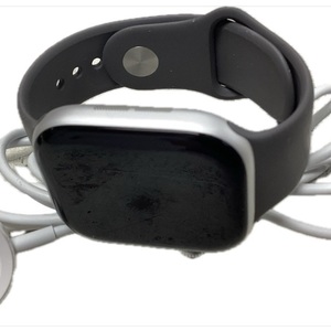 APPLE series 10 46mm grey band