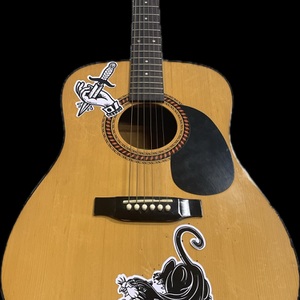 HOHNER HW 220 ACOUSTIC GUITAR