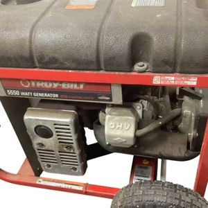Troy-Bilt 01919 5550 Watt Generator