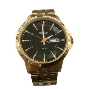 Citizen GN-4-S Wrist Watch